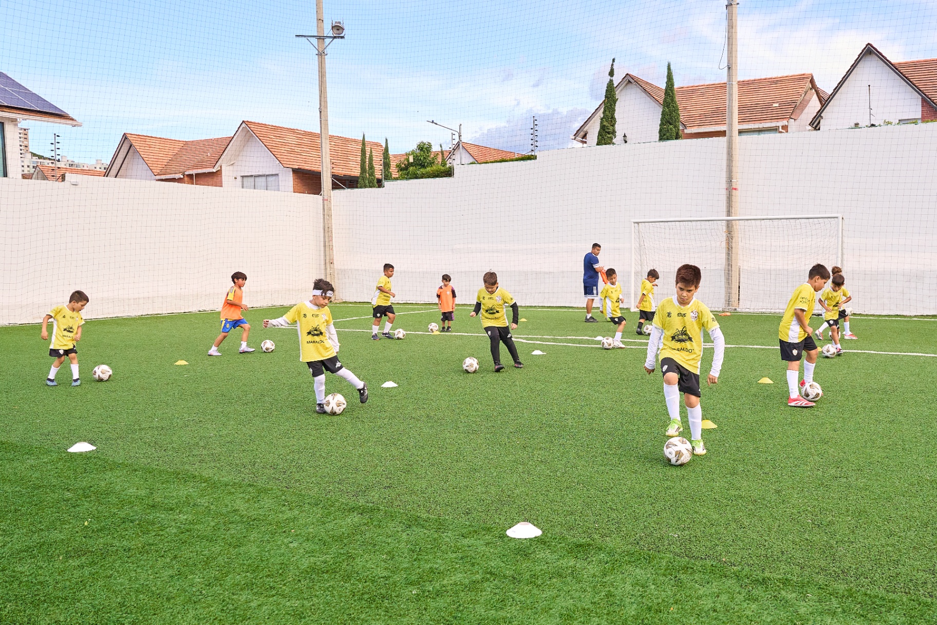 Entrenamiento colectivo